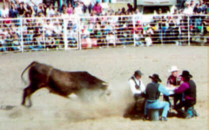 Pastor Frank Lenihan
with 3 other 'players' at Herbert, SK Canada with 'Frostbitten' your bull -
1999. Click for larger image.